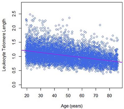 Dietary Copper Intake and Its Association With Telomere Length: A Population Based Study